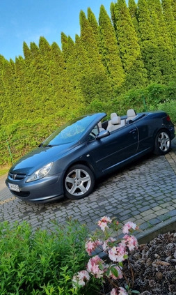 Peugeot 307 CC cena 9800 przebieg: 316000, rok produkcji 2004 z Aleksandrów Łódzki małe 154